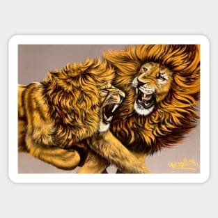 When Lions Collide Sticker